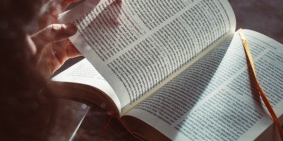 book, scripture, read, education, book pages, religion, holy scripture, study, learn, book, book, scripture, education, education, study, study, study, study, study, learn